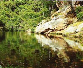 Numinbah Valley Adventure Trails - Accommodation Gold Coast 1