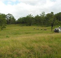 Numinbah Valley Adventure Trails - Accommodation Gold Coast