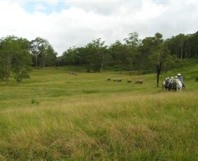 Numinbah Valley Adventure Trails - Accommodation Gold Coast 0