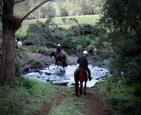 Numinbah Valley Adventure Trails - Accommodation Gold Coast 3