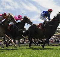 Moruya Racecourse - Accommodation Gold Coast