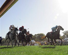 Moruya Racecourse - Accommodation Gold Coast 1