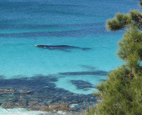 Jervis Bay Marine Park - Accommodation Gold Coast 0