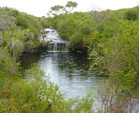 Booderee National Park: Green Patch And Telegraph Creek Walking Tracks - Gold Coast 4U 0
