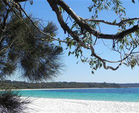 Booderee National Park: Green Patch And Telegraph Creek Walking Tracks - Gold Coast 4U 6