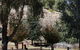 Oak Grove Walk, Balingup - thumb 2