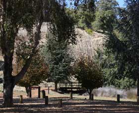 Oak Grove Walk, Balingup - Accommodation Gold Coast 2