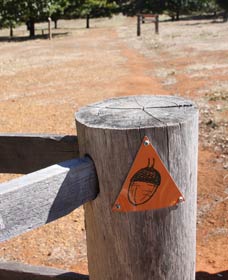 Oak Grove Walk, Balingup - Accommodation Gold Coast 3