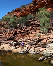 Inland Gorges - Accommodation Gold Coast 2