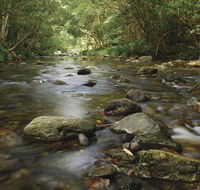 Plateau Circuit loop trail