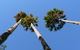 Bindarri National Park - thumb 0