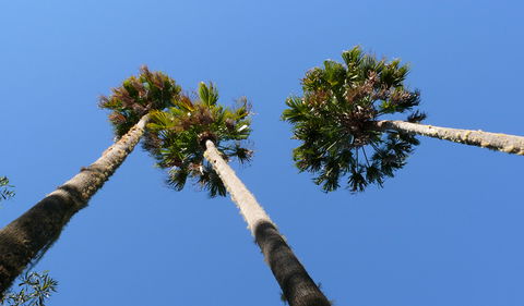 Bindarri National Park - Gold Coast 4U 0