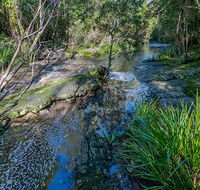 Dawson River walking track - Accommodation Gold Coast
