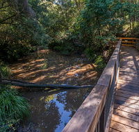 Ms Kellys walking track - Accommodation Gold Coast