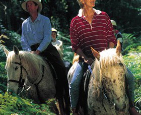 Clarendon Forest Retreat Horse Riding - 1 Gold Coast 2