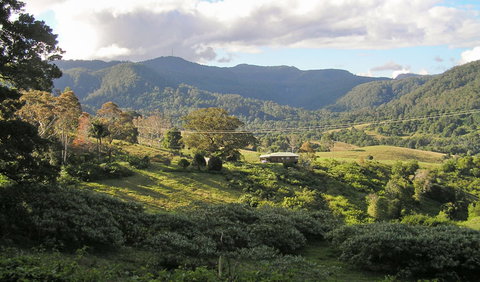 Mount Nardi Picnic Area - Accommodation Gold Coast 0