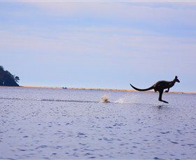Tuross Lake - Accommodation Gold Coast 2
