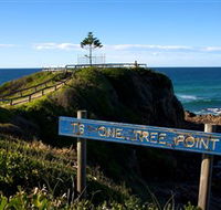 One Tree Point Lookout and Picnic Area - Accommodation Gold Coast