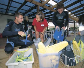 Dolphin Discovery Centre - Gold Coast 4U 1