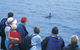 Dolphin Discovery Centre - thumb 3