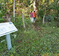 Coramba Nature Reserve