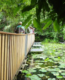 Rocky Creek Dam - Accommodation Gold Coast 0