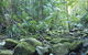 Rocky Creek Dam - thumb 5