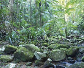 Rocky Creek Dam - Accommodation Gold Coast 5