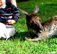 Bunbury Wildlife Park - Accommodation Gold Coast