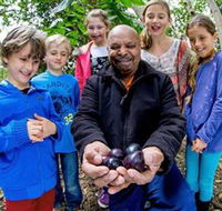 Wigay Aboriginal Culture Park - Accommodation Gold Coast