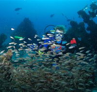 Aarhus Dive Site - Accommodation Gold Coast