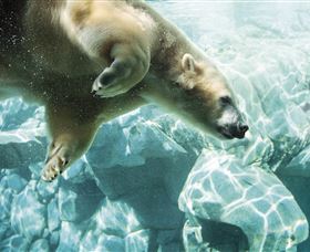 Australia's Sea World - Accommodation Gold Coast 0