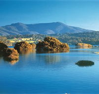 Wagonga Picnic Area - Accommodation Gold Coast