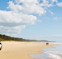 Bongil Bongil National Park - Accommodation Gold Coast