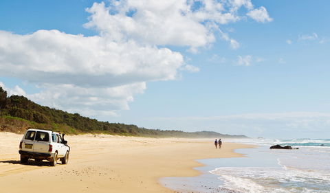 Bongil Bongil National Park - Accommodation Gold Coast 0