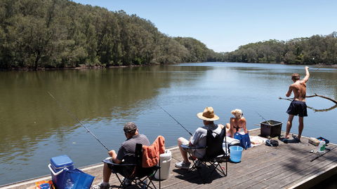 Bongil Bongil National Park - Accommodation Gold Coast 1