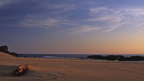 Bongil Bongil National Park - Accommodation Gold Coast 2