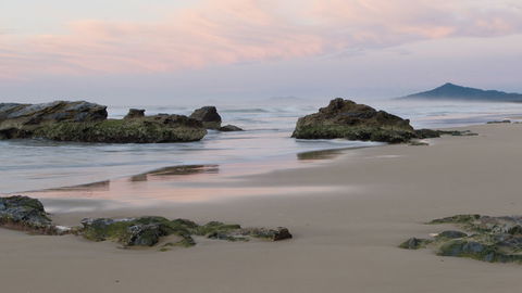 Bongil Bongil National Park - Accommodation Gold Coast 3
