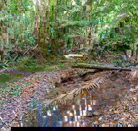 Ulidarra National Park