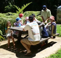 The Pines picnic area - Gold Coast 4U