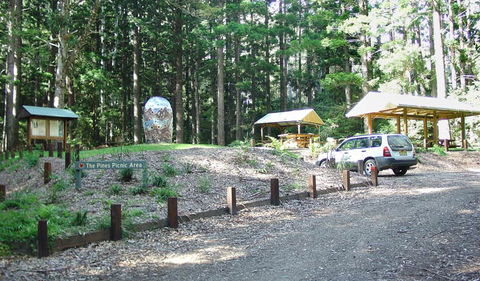 The Pines Picnic Area - Gold Coast 4U 2