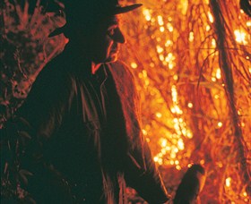 Goodwood Island NSW Accommodation Gold Coast