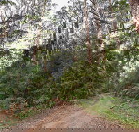 End Peak walking track