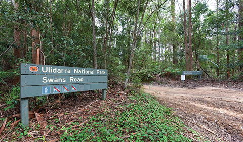 End Peak Walking Track - 1 Gold Coast 1