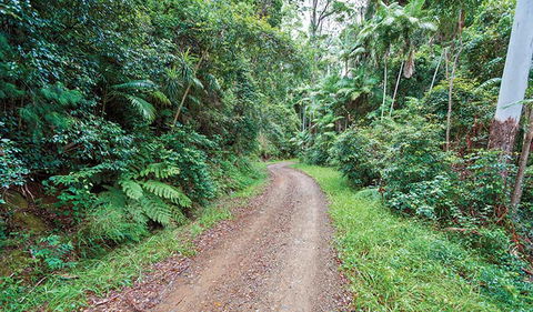 End Peak Walking Track - 1 Gold Coast 2