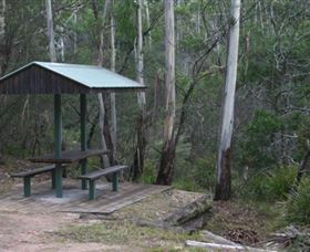 White Rock River Picnic Area - Accommodation Gold Coast 0