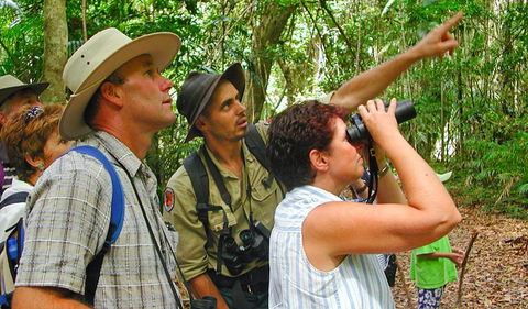 Falls Walking Track - Accommodation Gold Coast 0