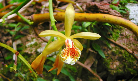 Falls Walking Track - Accommodation Gold Coast 1