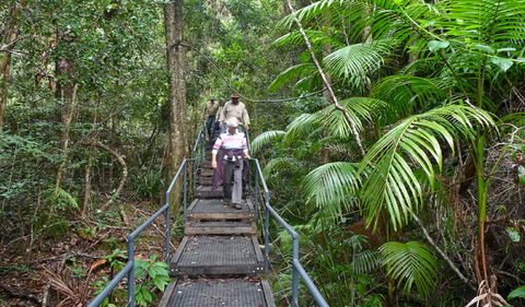 Falls Walking Track - Accommodation Gold Coast 2
