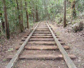 Kerewong State Forest - Accommodation Gold Coast 1